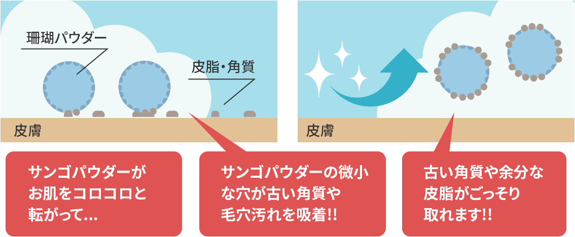 �T���S�p�E�_�[���������R���R���Ɠ]�����āc�@�T���S�p�E�_�[�̔����Ȍ����Â��p����ь�������z��!!�@�Â��p����]���Ȕ玉������������܂�!!