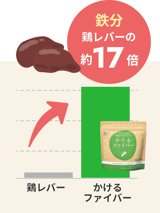 ������t�@�C�o�[�̓S���͌{���o�[�̖�17�{