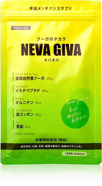 �N�[�K�̃`�J�� NEVA GIVA ���i�p�b�P�[�W