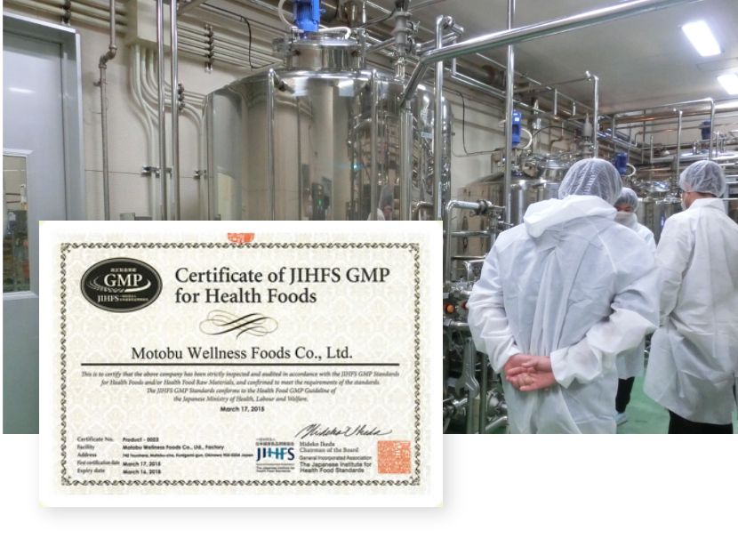 GMP�K���H��Ő������S���S�̍ŗǕi�����͂����܂�