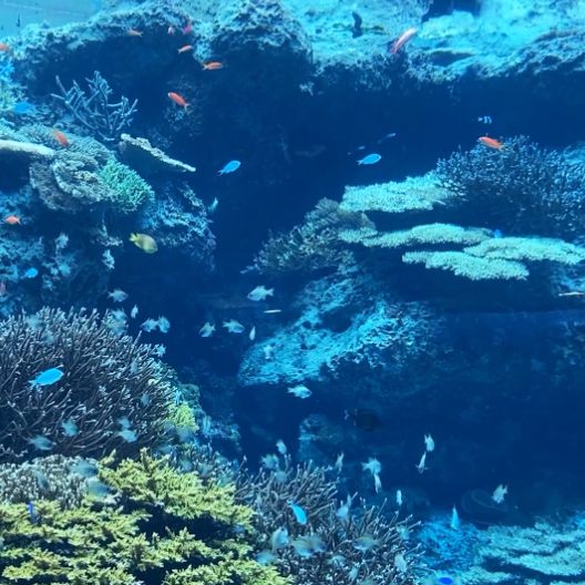 �����C�̎c�����f������! �s���s���΍�ł��炩�Ȃ����ɁB