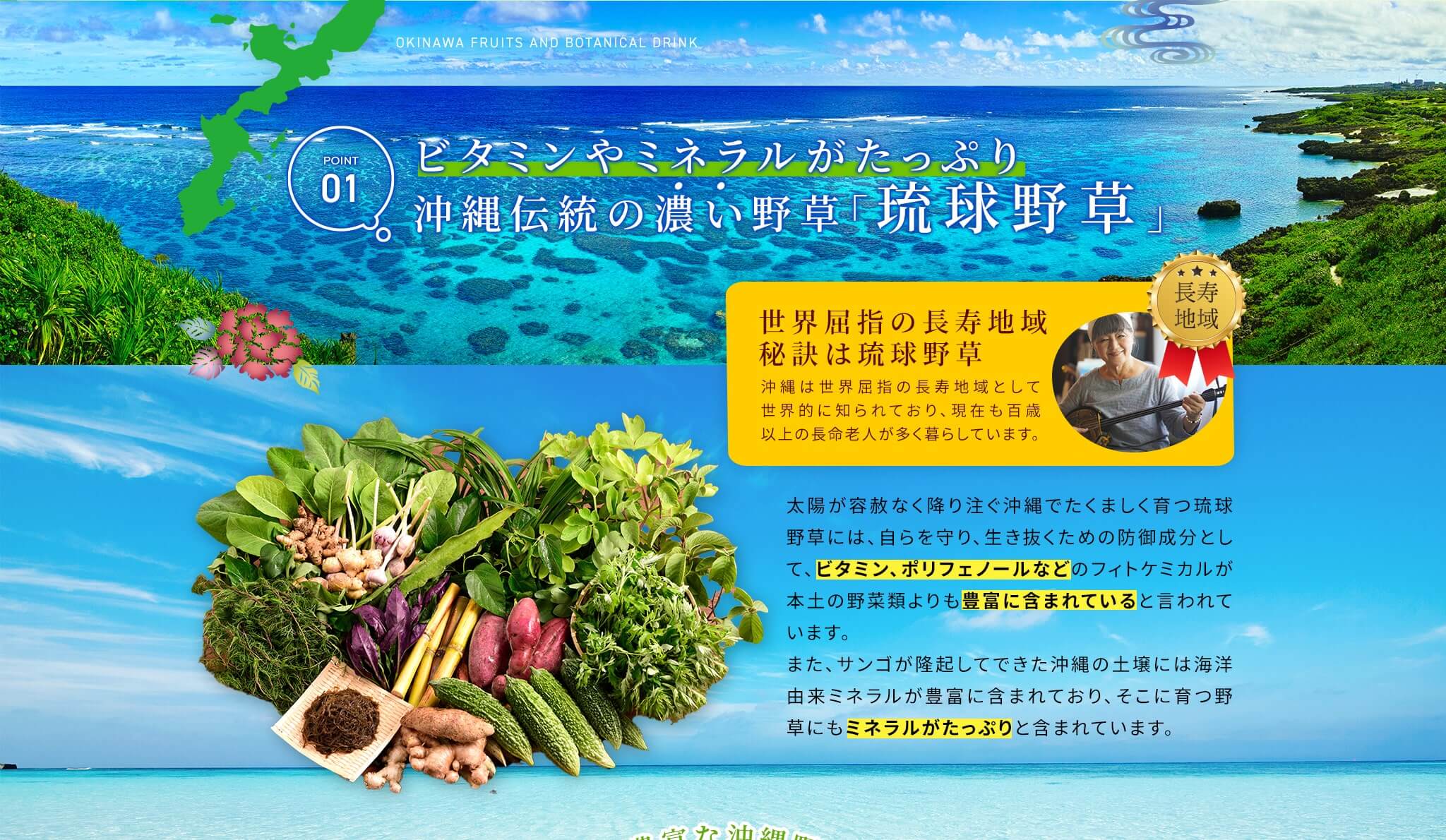 POINT01ビタミンやミネラルがたっぷり沖縄伝統の濃い野草｢琉球野草｣太陽が容赦なく降り注ぐ沖縄でたくましく育つ琉球野草には、自らを守り、生き抜くための防御成分として、ビタミン、ポリフェノールなどのフィトケミカルが本土の野菜類よりも豊富に含まれていると言われています。また、サンゴが隆起してできた沖縄の土壌には海洋由来ミネラルが豊富に含まれており、そこに育つ野草にもミネラルがたっぷりと含まれています。世界屈指の長寿地域 秘訣は琉球野草 沖縄は世界屈指の長寿地域として世界的に知られており、現在も百歳以上の長命老人が多く暮らしています。
