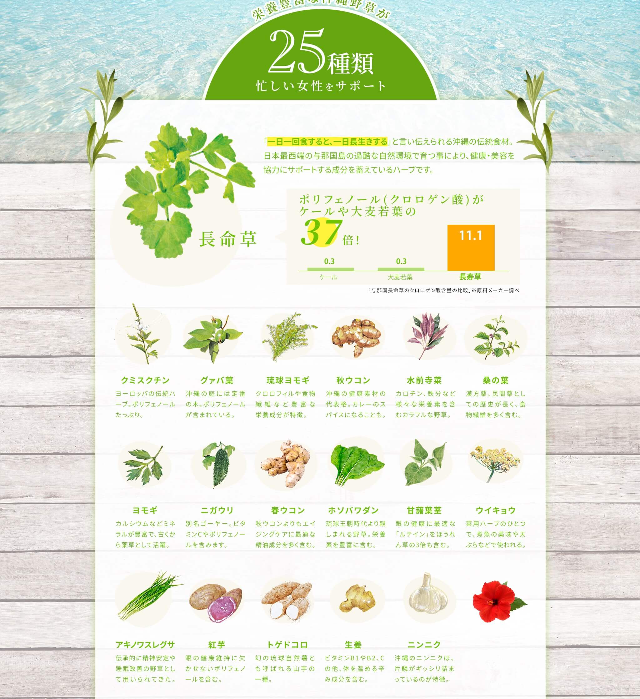 栄養豊富な沖縄野草が25種類忙しい女性をサポート [クミスクチン] ヨーロッパの伝統ハーブ。ポリフェノールたっぷり。 [グァバ葉] 沖縄の庭には定番の木。ポリフェノールが含まれている。 [琉球ヨモギ] クロロフィルや食物繊維など豊富な栄養成分が特徴。 [秋ウコン] 沖縄の健康素材の代表格。カレーのスパイスになることも。 [水前寺菜] カロチン、鉄分など様々な栄養素を含むカラフルな野草。 [桑の葉] 漢方薬、民間薬としての歴史が長く、食物繊維を多く含む。 [ヨモギ] カルシウムなどミネラルが豊富で、古くから薬草として活躍。 [ニガウリ] 別名ゴーヤー。ビタミンCやポリフェノールを含みます。 [春ウコン] 秋ウコンよりもエイジングケアに最適な精油成分を多く含む。 [ホソバワダン] 琉球王朝時代より親しまれる野草。栄養素を豊富に含む。 [甘藷葉茎] の健康に最適な「ルテイン」をほうれん草の3倍も含む。 [ウイキョウ] 用ハーブのひとつで、煮魚の薬味や天ぷらなどで使われる。 [アキノワスレグサ] 伝承的に精神安定や睡眠改善の野草として用いられてきた。 [紅芋] 眼の健康維持に欠かせないポリフェノールを含む。 [トゲドコロ] 幻の琉球自然薯とも呼ばれる山芋の一種。 [生姜] ビタミンB1やB2、Cの他、体を温める辛み成分を含む。 [ニンニク] 沖縄のニンニクは、片鱗がギッシリ詰まっているのが特徴。