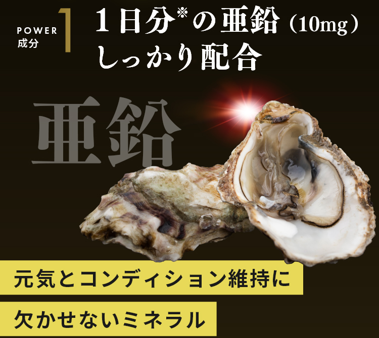 POWER成分1 亜鉛 1日分※の亜鉛（10mg）しっかり配合。元気とコンディション維持に欠かせないミネラル