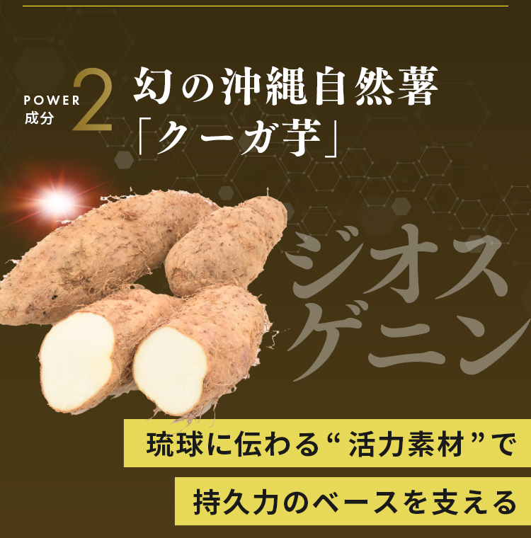 POWER成分2 ジオスゲニン 幻の沖縄自然薯 「クーガ芋」。琉球に伝わる“活力素材”で持久力のベースを支える