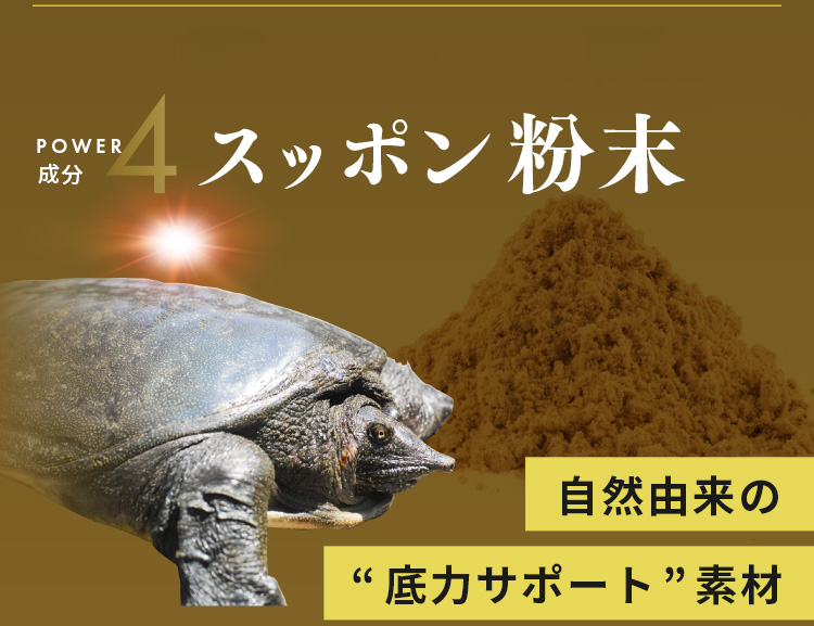 POWER成分4 スッポン粉末。自然由来の“底力サポート”素材