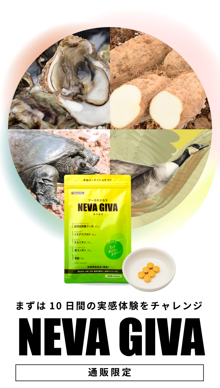 まずは10日間の実感体験をチャレンジ「NEVA GIVA ネバギバ」通販限定