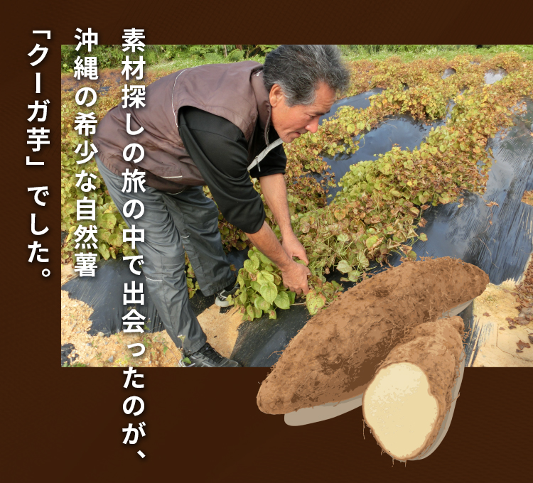 素材探しの旅の中で出会ったのが、沖縄の希少な自然薯「クーガ芋」でした。