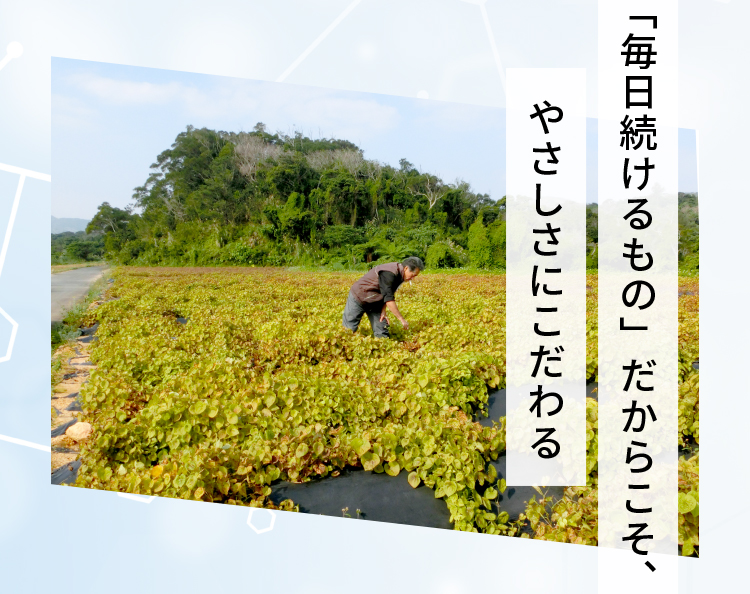 「毎日続けるもの」だからこそ、やさしさにこだわる