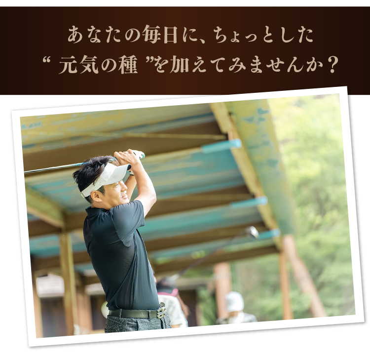あなたの毎日に、ちょっとした“元気の種”を加えてみませんか？
