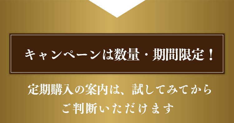 キャンペーンは数量・期間限定！定期購入の案内は、試してみてからご判断いただけます